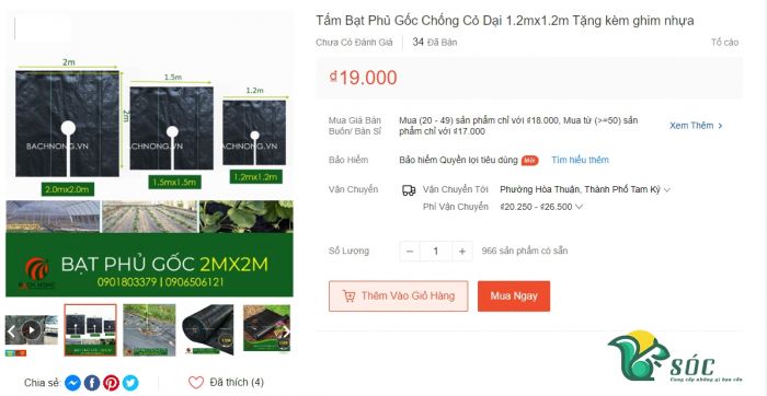 Che gốc sung bằng tấm bạt chống cỏ