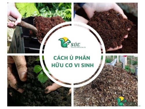 Cách ủ phân hữu cơ vi sinh