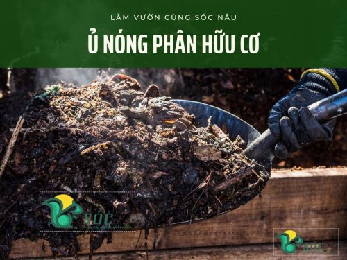 Phương pháp ủ nóng phân hữu cơ vi sinh