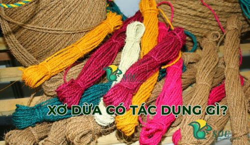 Sản xuất dây thừng từ xơ dừa