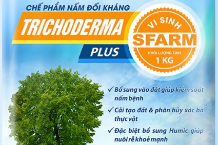 Nấm Trichoderma có độc không?