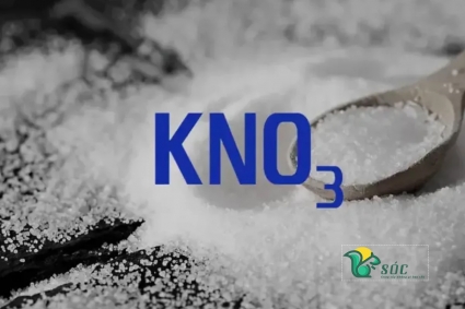 Tác dụng của KNO3 đối với cây trồng